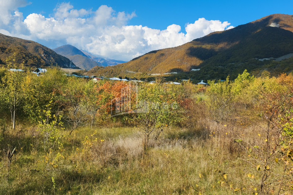 Продается Земля Деревня Чинти Душети Мцхета   Мтианети
