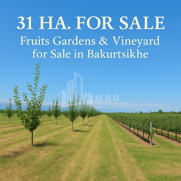 Продается Земля Бакурцихе Гурджаани Кахети