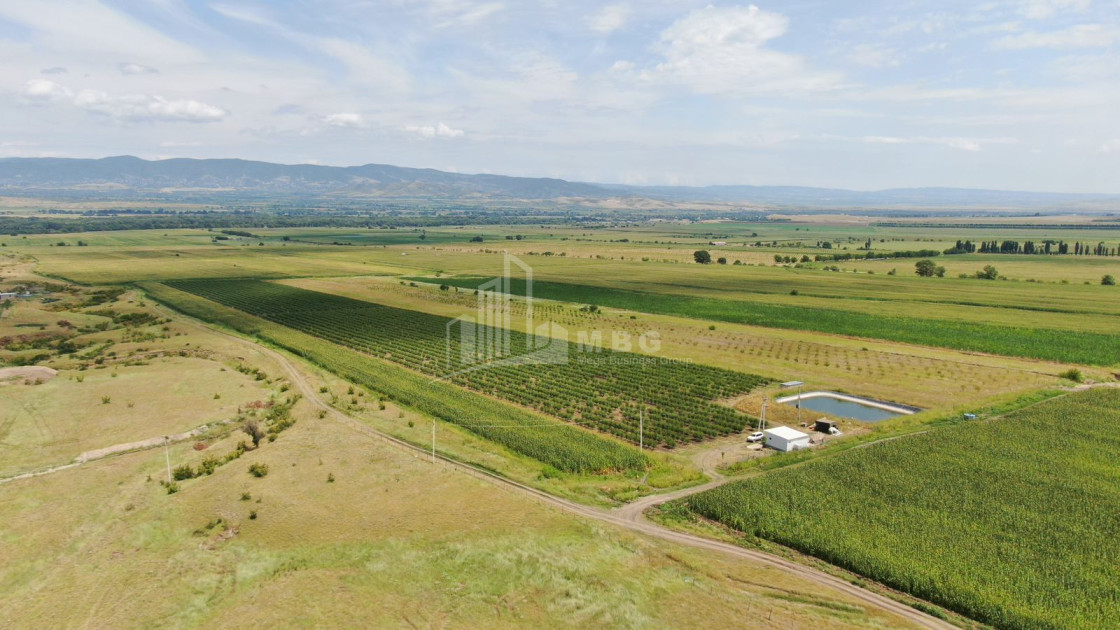 იყიდება მიწის ნაკვეთი საგარეჯო კახეთი