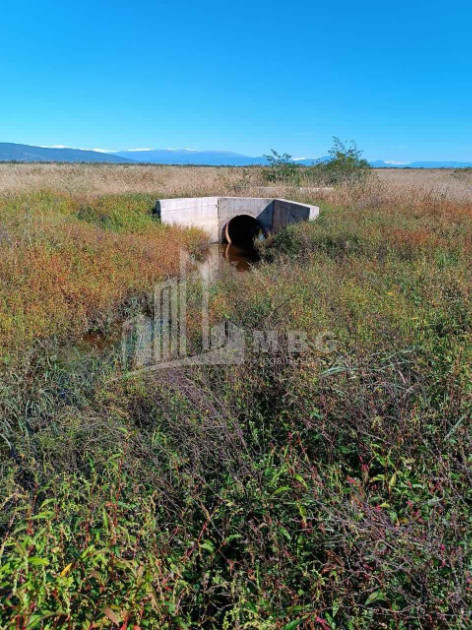 იყიდება მიწის ნაკვეთი სენაკი სამეგრელო   ზემო სვანეთი