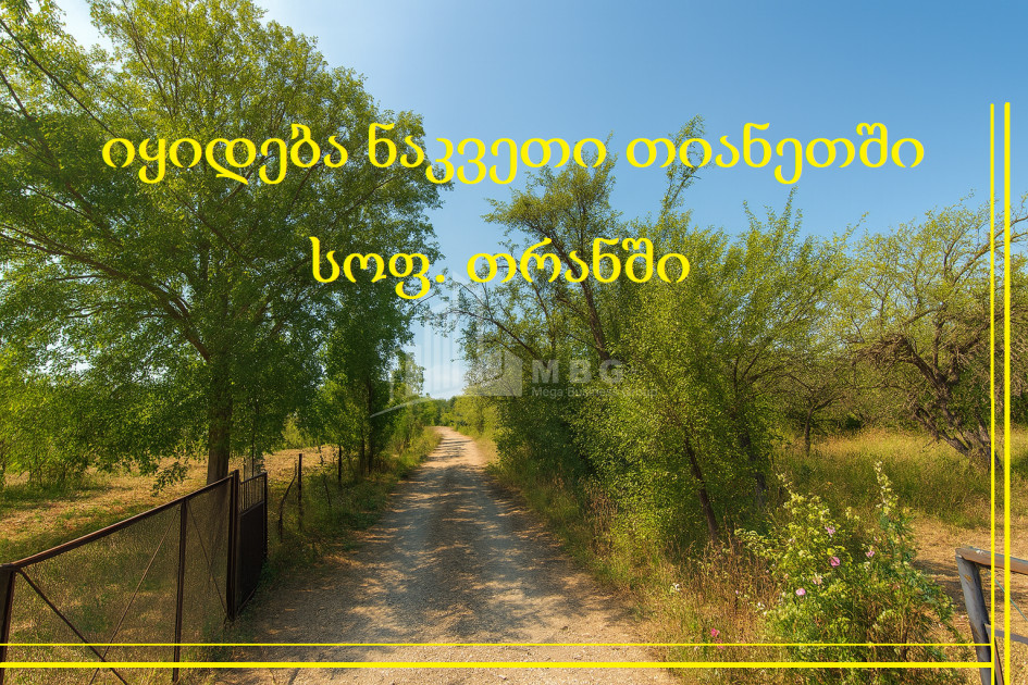 Продается Земля Трани Тианети Мцхета   Мтианети