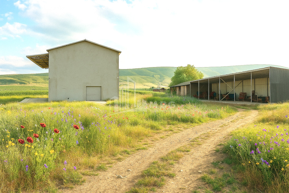 იყიდება კომერციული ფართი დოესი კასპი შიდა ქართლი