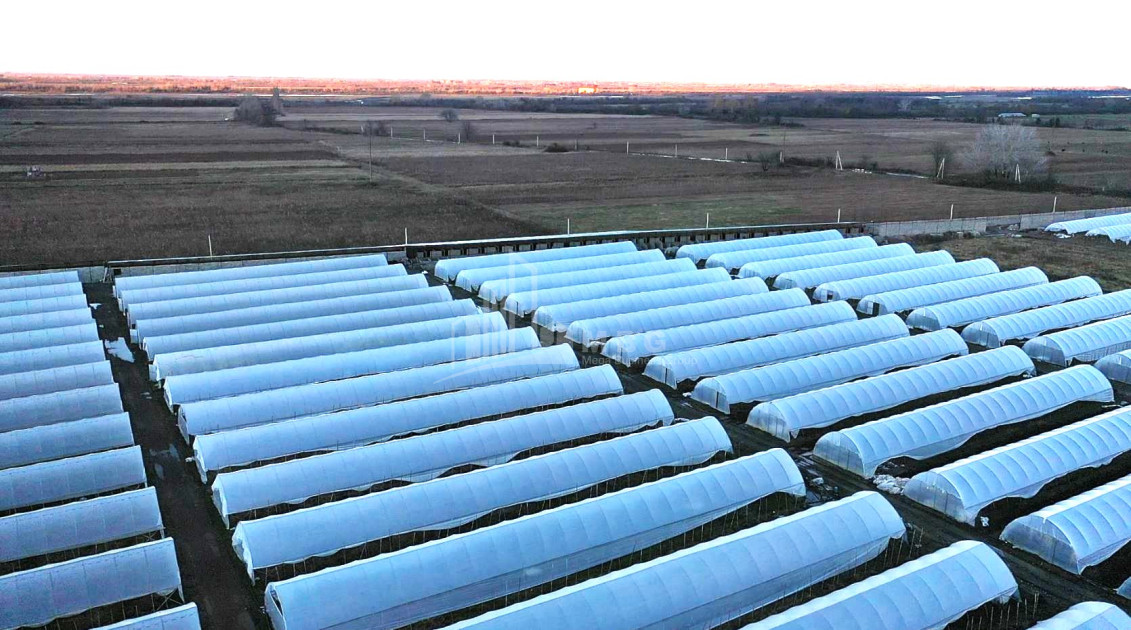 იყიდება მიწის ნაკვეთი ვანი იმერეთი