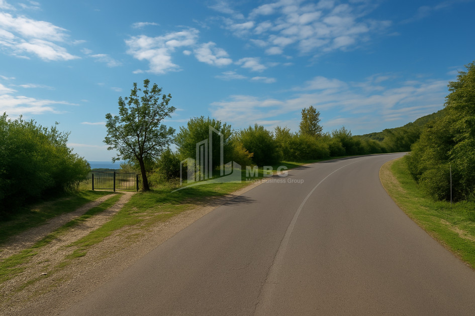 იყიდება მიწის ნაკვეთი სიღნაღი კახეთი