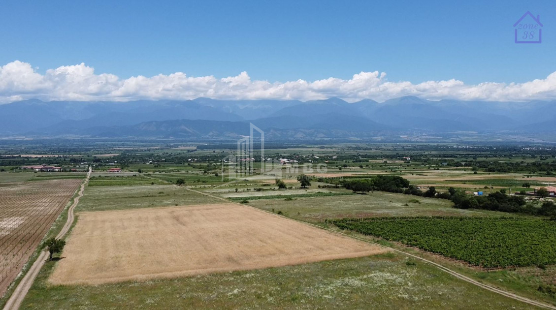 Продается Коммерческий Телави Кахети