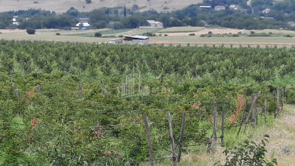 For Sale Land Marneuli Kvemo Kartli