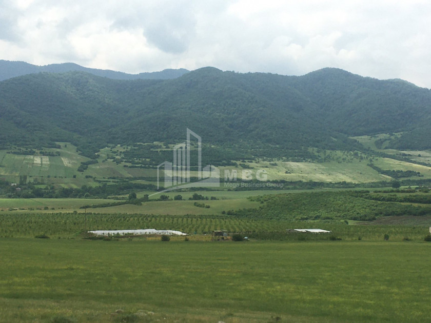 For Sale Land Marneuli Kvemo Kartli