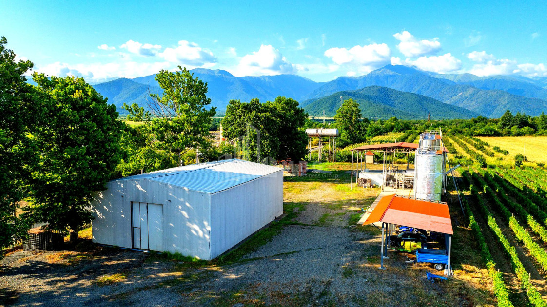 For Sale Commercial Shilda Kvareli Kakheti