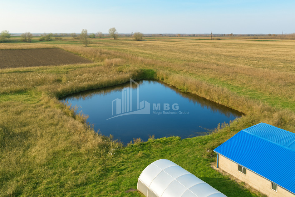 იყიდება მიწის ნაკვეთი ვანი იმერეთი