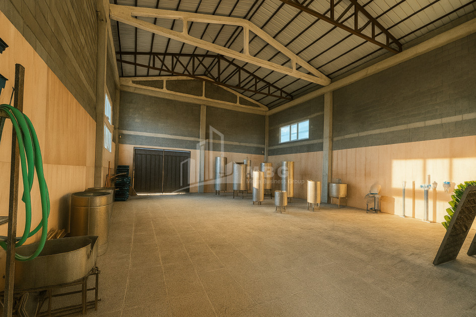 For Sale Commercial Shilda Kvareli Kakheti