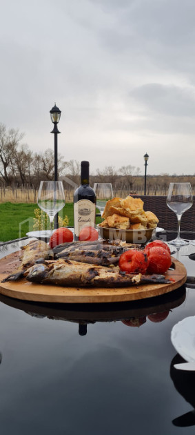 Продается Коммерческий Хашми Сагареджо Кахети