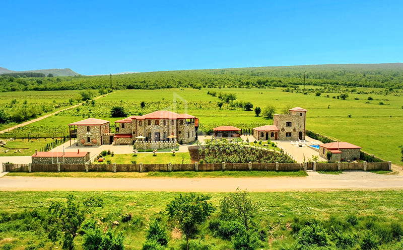 Продается Коммерческий Телави Кахети