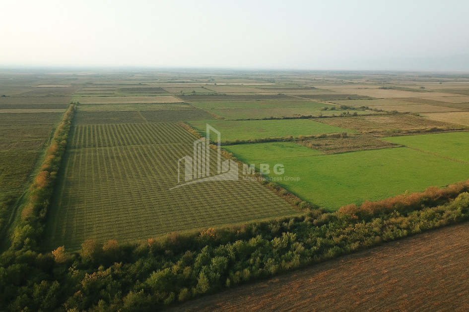 Продается Земля Бакурцихе Гурджаани Кахети