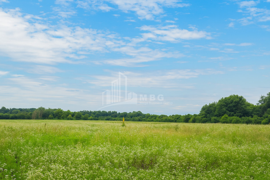 Продается Земля Кварели Кахети