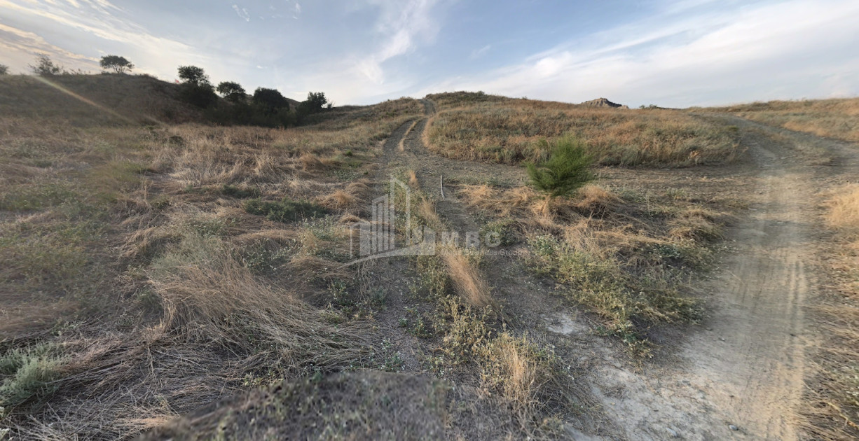 Продается Земля Квемо Бодбе Сигнаgи Кахети