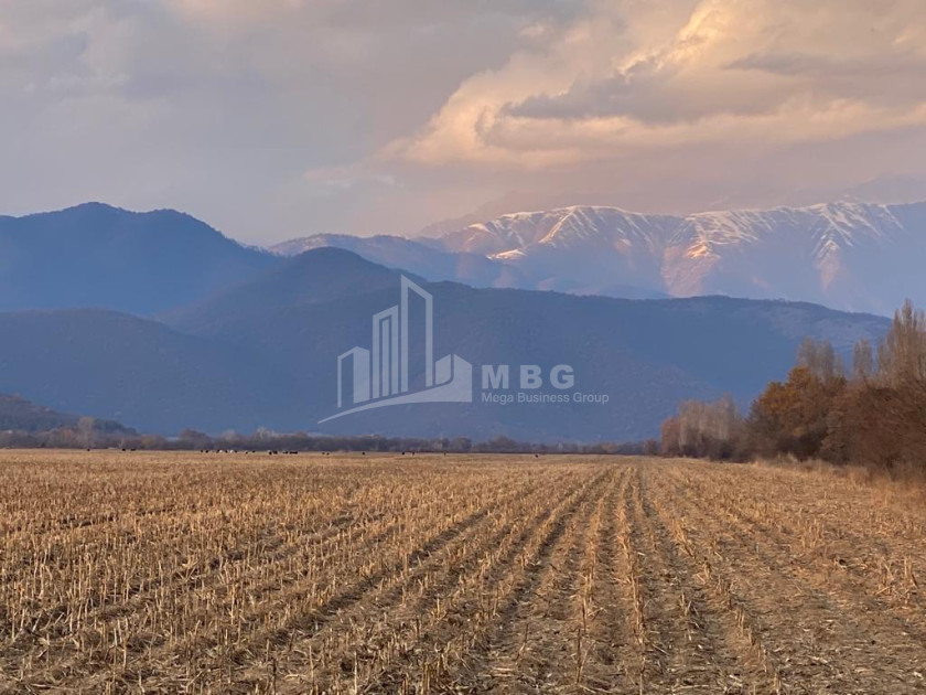 Продается Земля Телави Кахети