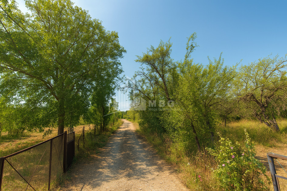 Продается Земля Трани Тианети Мцхета   Мтианети