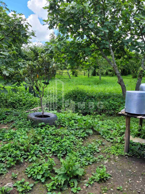 For Sale Land Chibati village Lanchkhuti Municipalities of Guria