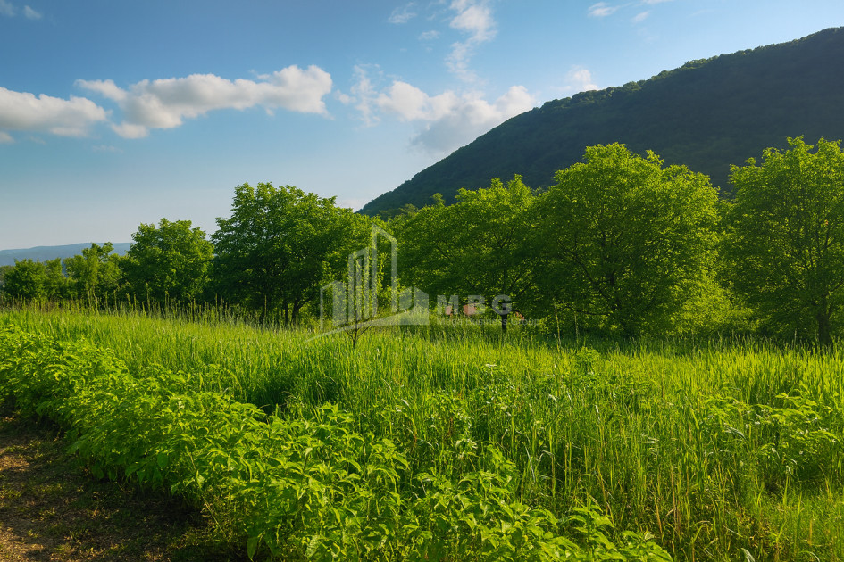 იყიდება მიწის ნაკვეთი ორხევი თიანეთი მცხეთა   მთიანეთი