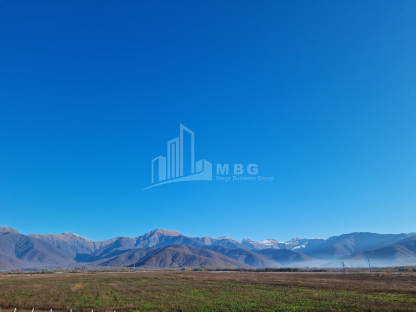 For Sale Land Eniseli Kvareli Kakheti