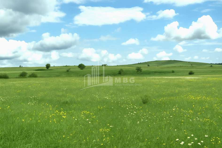 For Sale Land Dmanisi City Dmanisi Kvemo Kartli