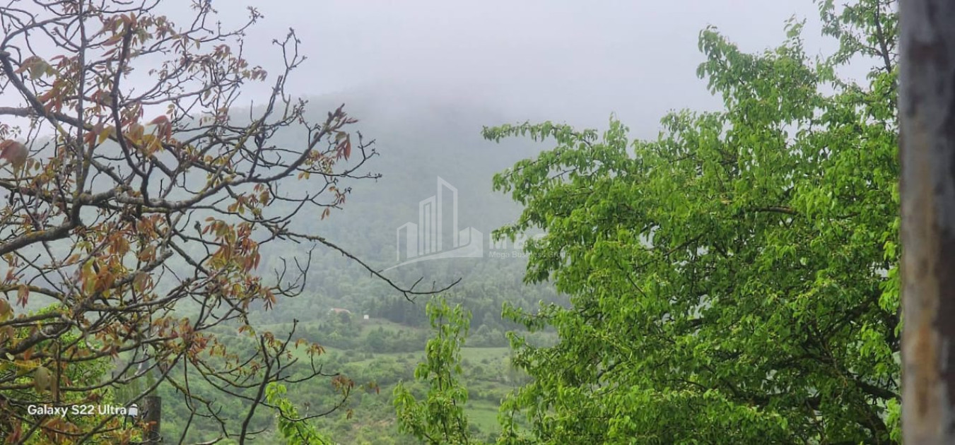 Продается Дом Вилла Квишхети Хашури Шида Картли