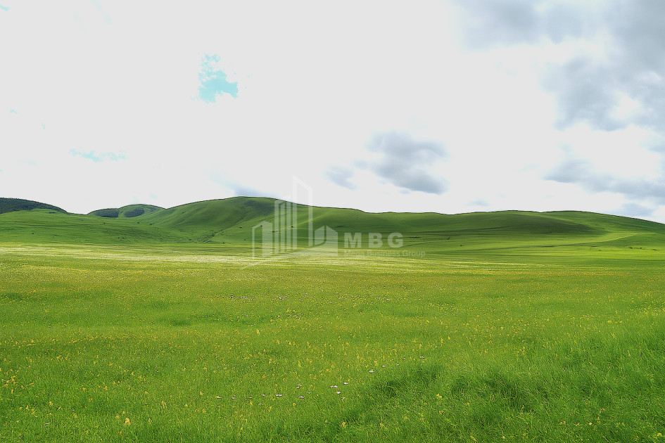 For Sale Land Dmanisi City Dmanisi Kvemo Kartli