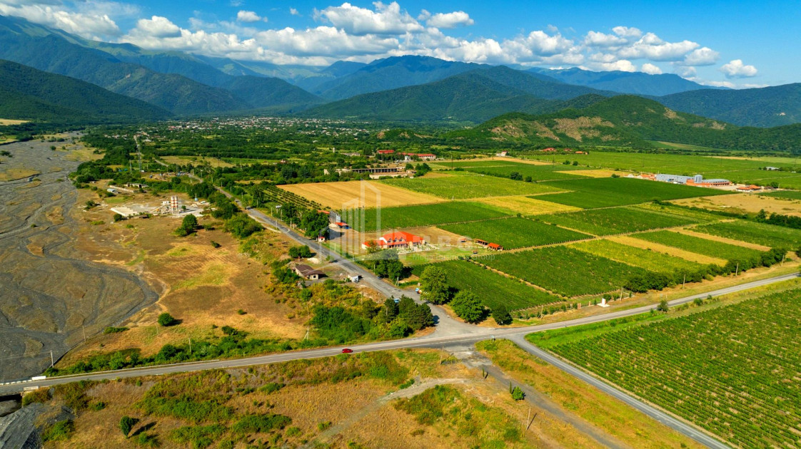 For Sale Commercial Shilda Kvareli Kakheti