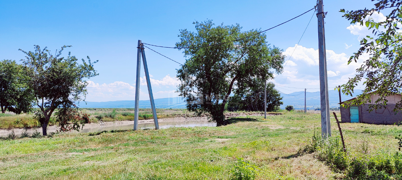 იყიდება მიწის ნაკვეთი ყვარელი კახეთი