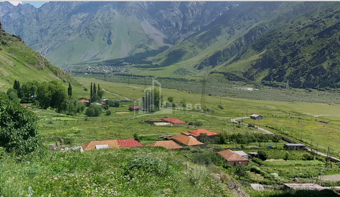 For Sale Land Fanshet Kazbegi Mtskheta   Mtianeti