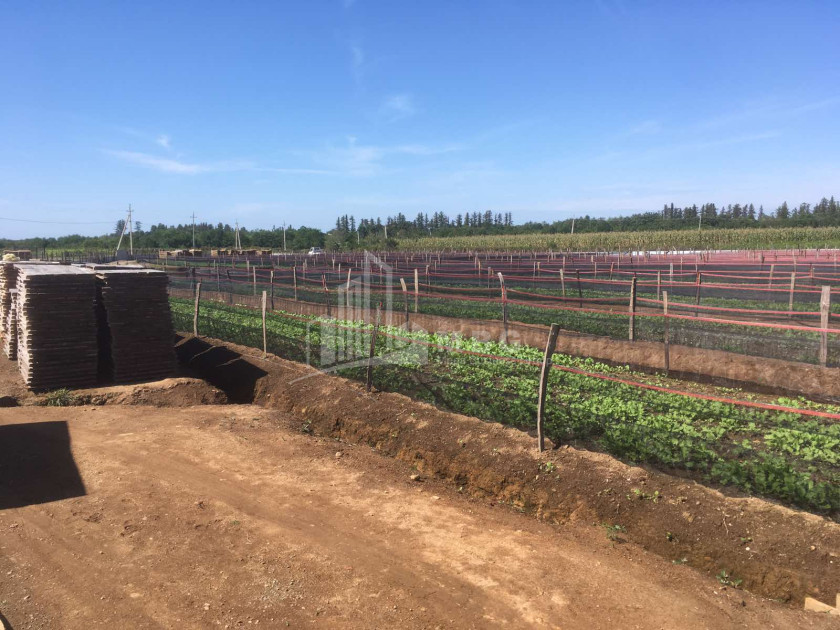 იყიდება მიწის ნაკვეთი გურია