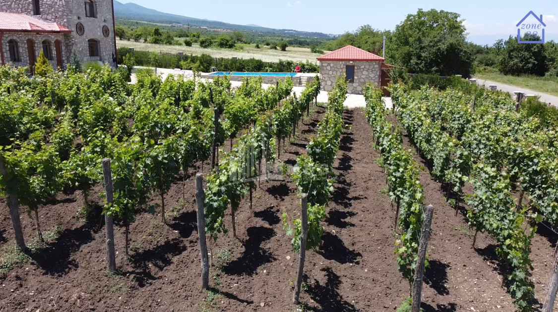 Продается Коммерческий Телави Кахети