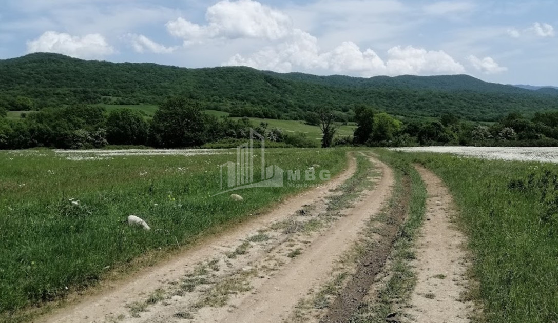 Продается Земля Гомбори Сагареджо Кахети