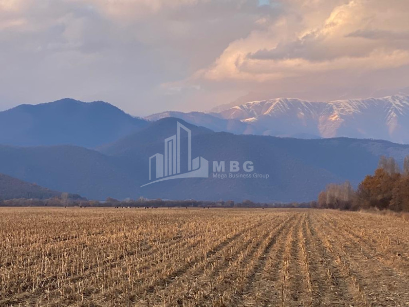 Продается Земля Телави Кахети