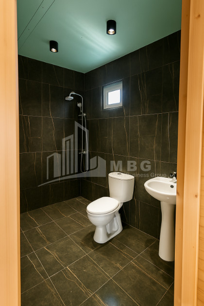 For Sale House Villa Kurdghelauri Telavi Kakheti