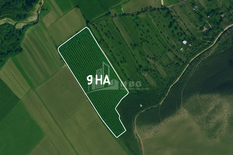 Продается Земля Болниси Квемо Картли