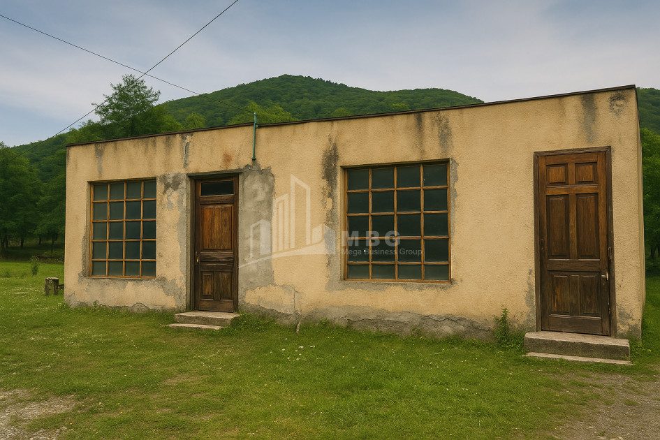For Sale Commercial Ambrolauri Racha   Lechxumi Kvemo Svaneti