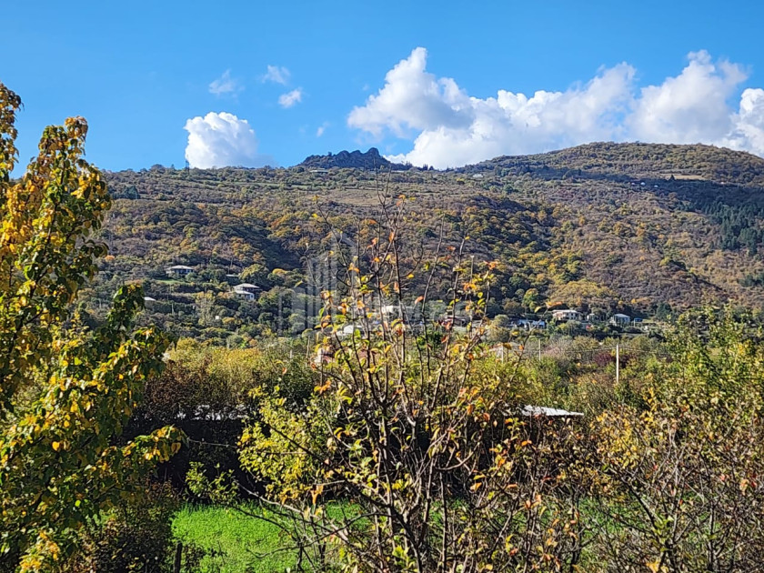 Продается Земля Деревня Чинти Душети Мцхета   Мтианети