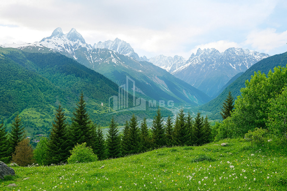 For Sale Land Mestia Samegrelo   Upper Svaneti