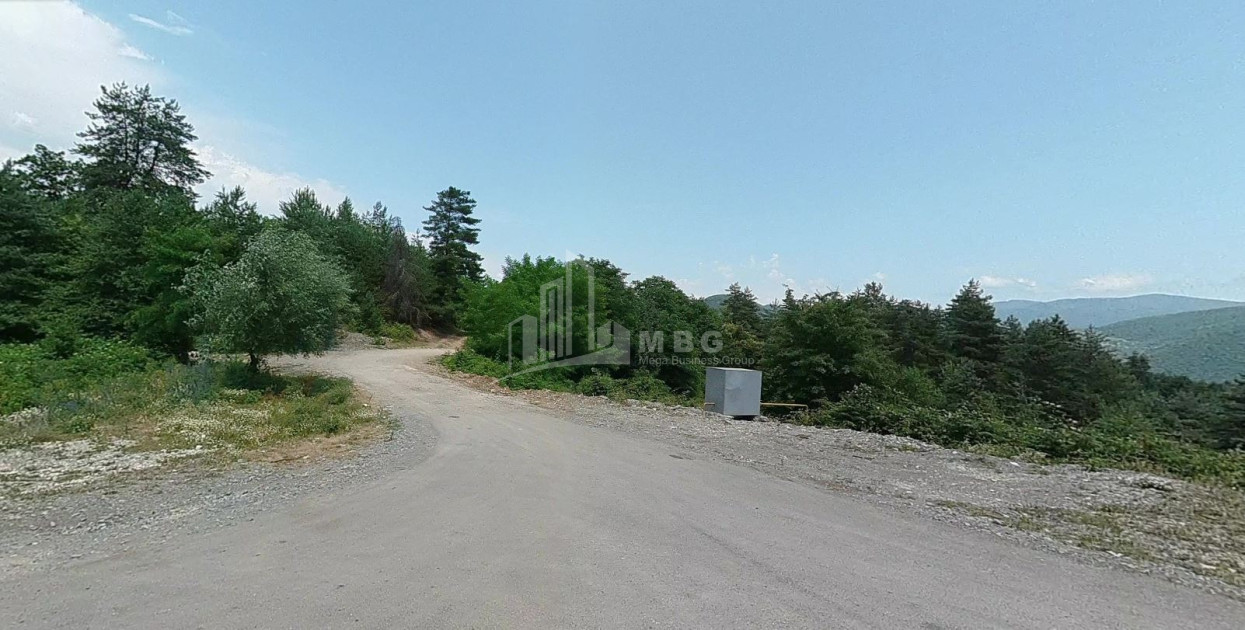 Продается Земля Иста Амбролаури Рача   Лечхуми Квемо Сванети