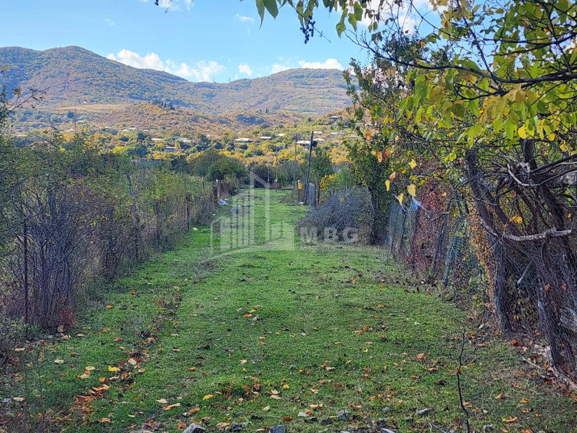 Продается Земля Деревня Чинти Душети Мцхета   Мтианети