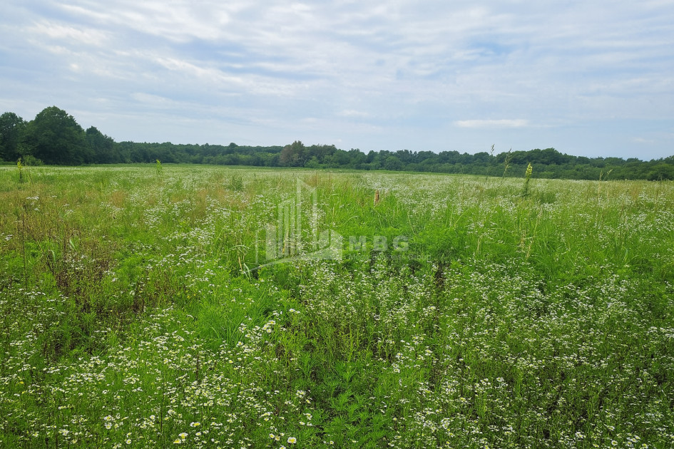 Продается Земля Кварели Кахети