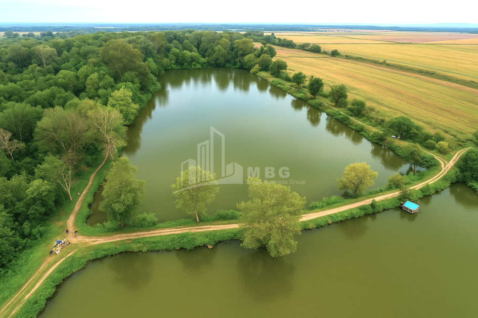 Продается Земля Кварели Кахети