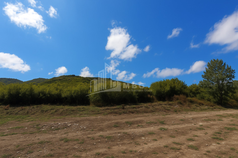 იყიდება მიწის ნაკვეთი სიღნაღი კახეთი