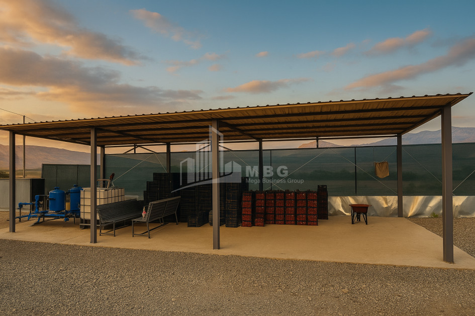 იყიდება მიწის ნაკვეთი გურია