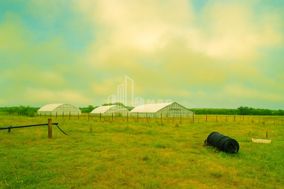 For Sale Land Vartsikhe Baghdati Imereti