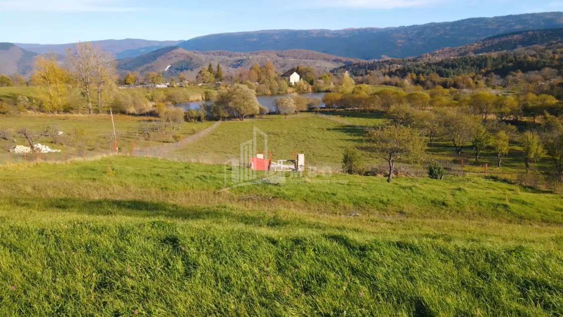 For Sale Land Nikortsminda Ambrolauri Racha   Lechxumi Kvemo Svaneti