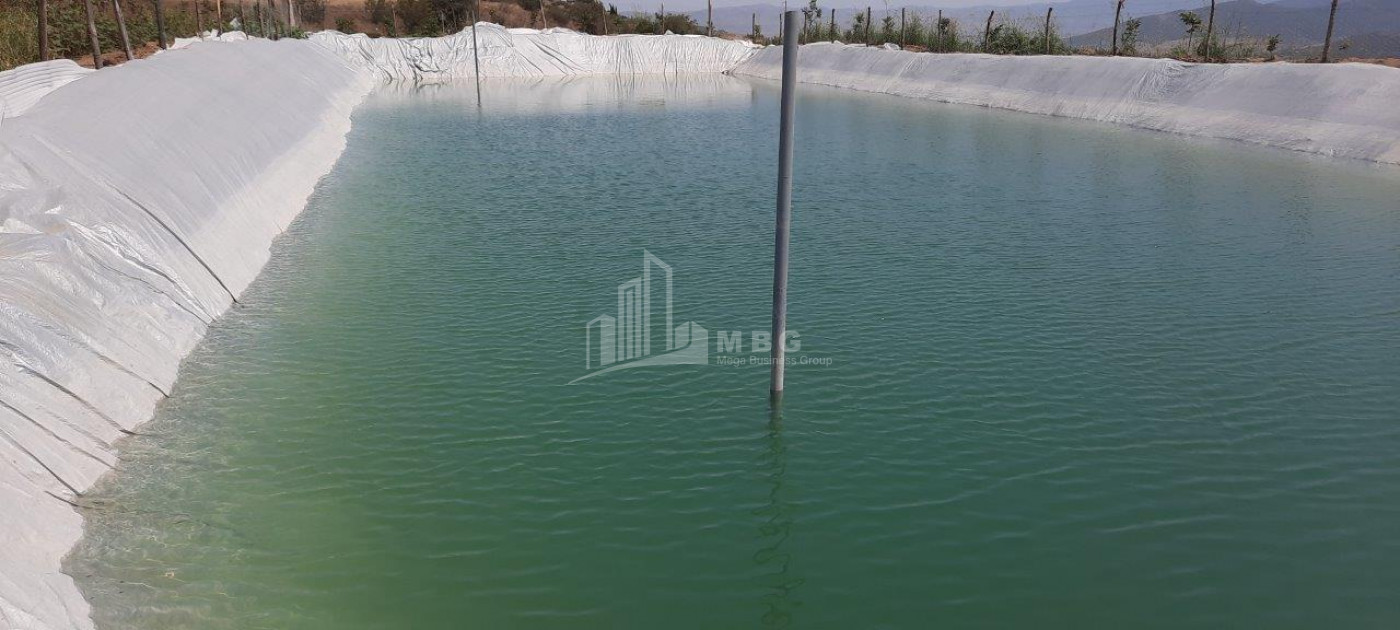 For Sale Land Marneuli Kvemo Kartli