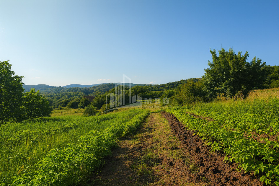 იყიდება მიწის ნაკვეთი ორხევი თიანეთი მცხეთა   მთიანეთი