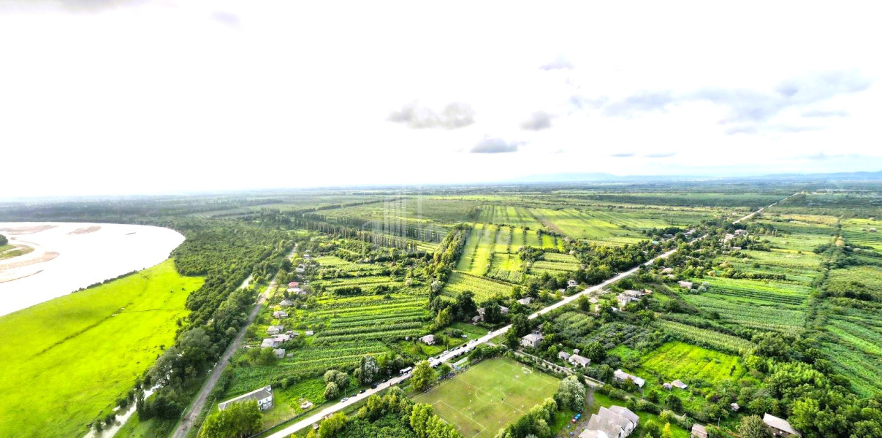 იყიდება მიწის ნაკვეთი სენაკი სამეგრელო   ზემო სვანეთი